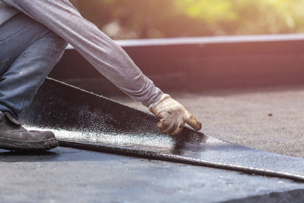Professional Wet Basement Repair technician working in Bancroft, WI